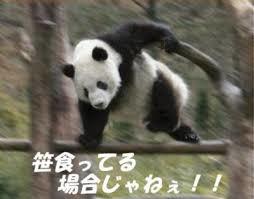 ささ食ってる場合