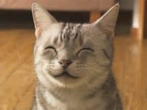 猫笑顔