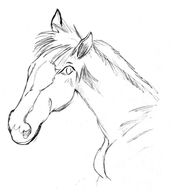 馬イラスト Nahki Blog