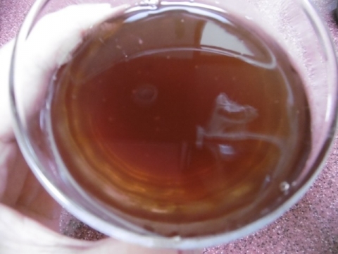 P1010273.jpg
