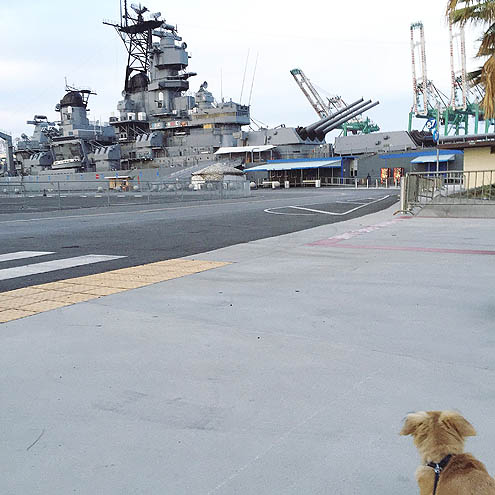 正直さんぽロサンゼルスの港