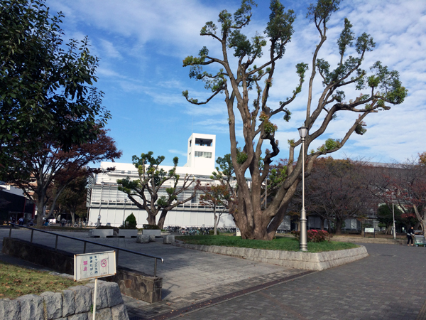 ChibaUniv_4579.jpg