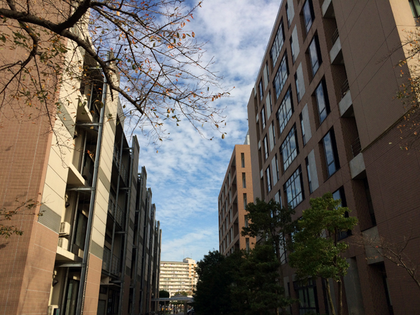 ChibaUniv_4596.jpg