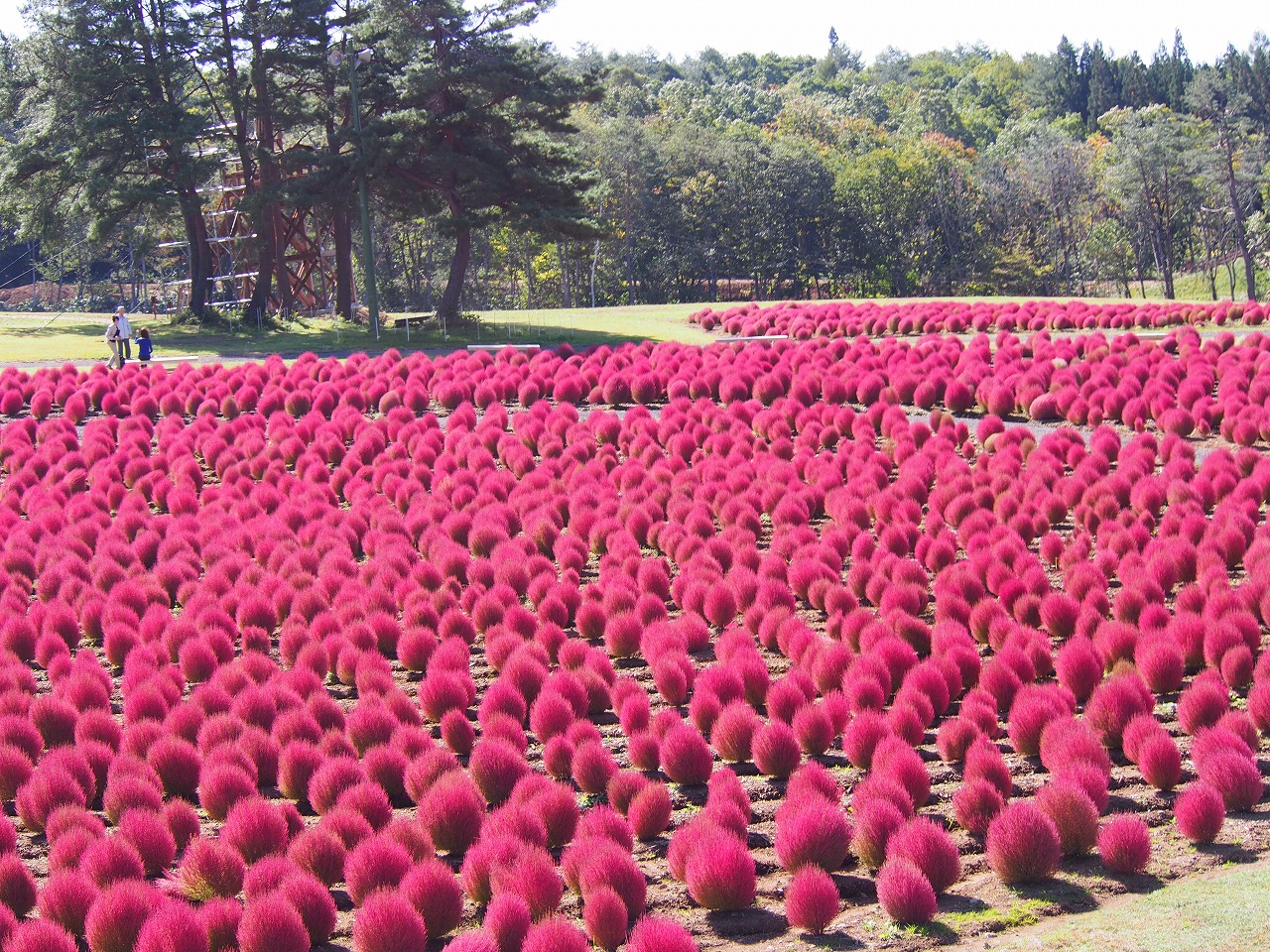 PA070310.jpg