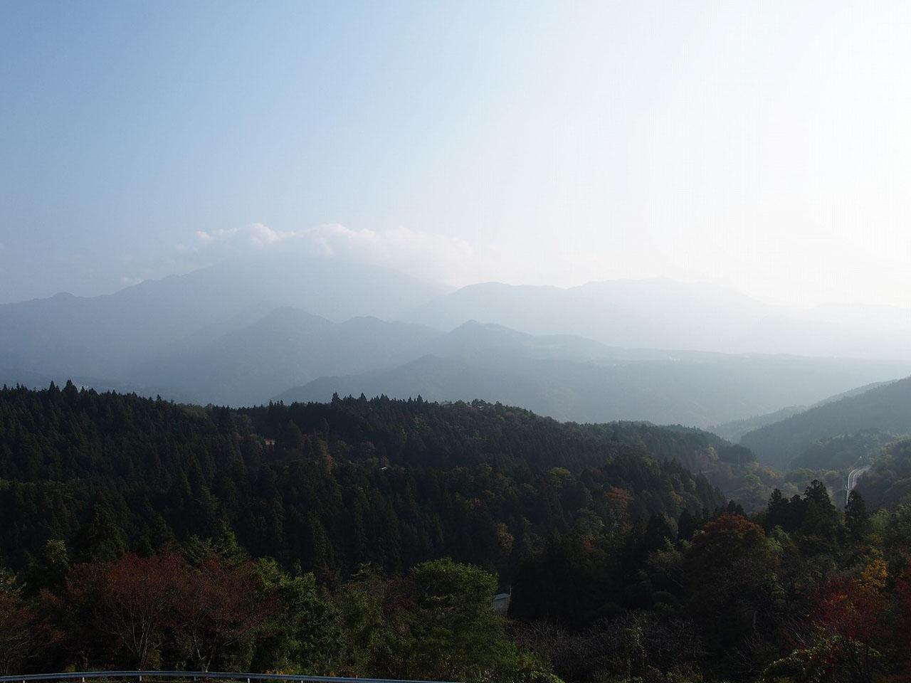 PA230884.jpg