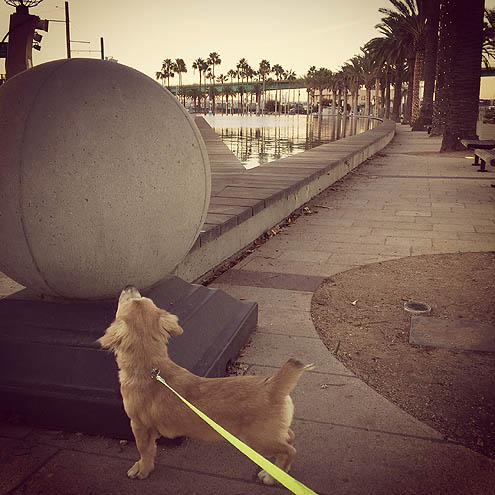 正直さんぽロサンゼルスの港