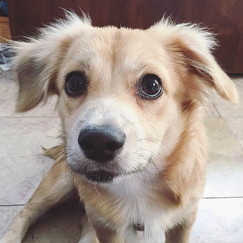 世界の車窓から～夜の３P泥