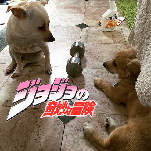 ジョジョの奇妙な館