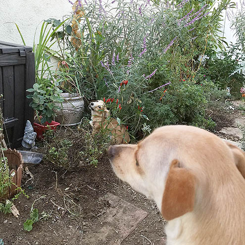 ジョジョの奇妙な館