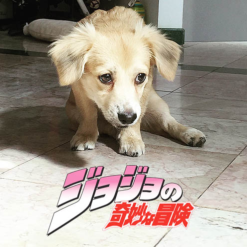 ジョジョの奇妙な一休みポーズ