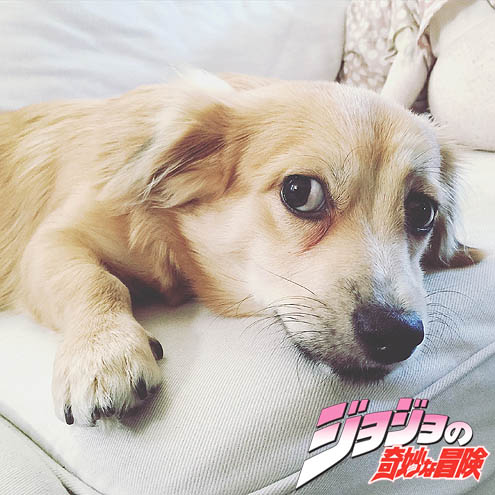 世界の車窓から～夜の３P泥