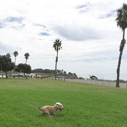 ドライブ嫌いなP94シシ丸ソロ