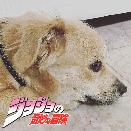 家しょんおまけにヘタレ