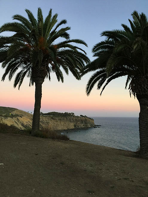 サンセット眺めながら正直さんぽ