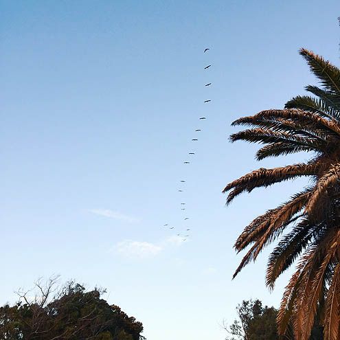 サンセット眺めながら正直さんぽ