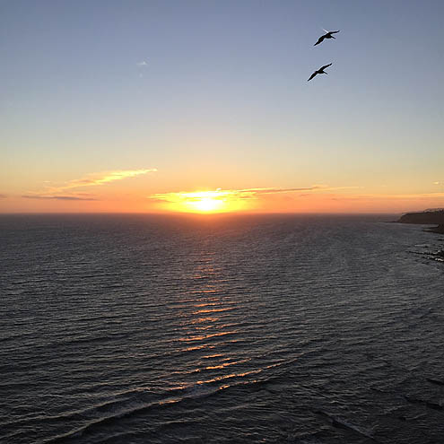 サンセット眺めながら正直さんぽ