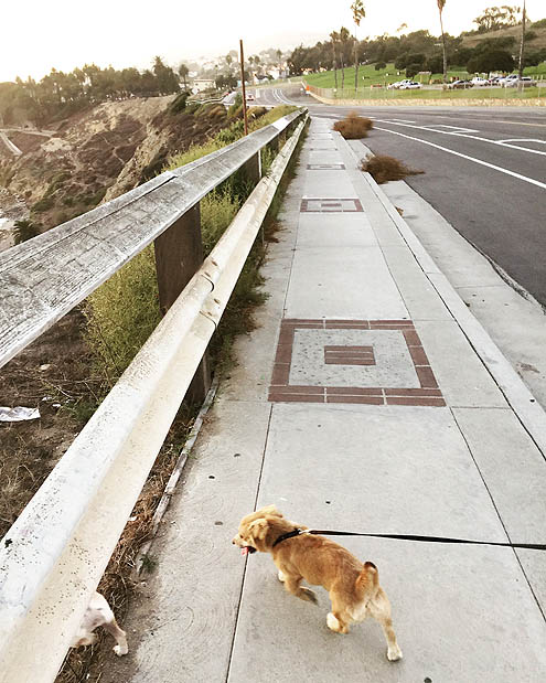 サンセット眺めながら正直さんぽ