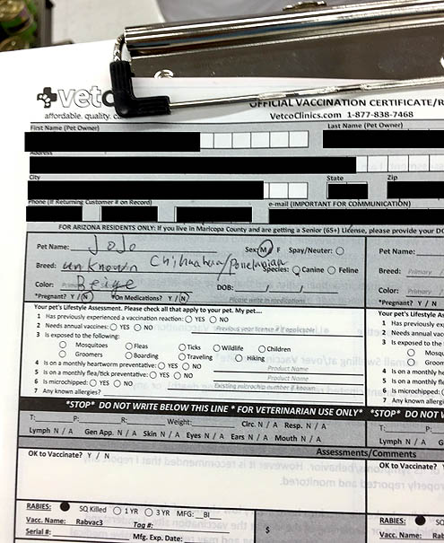 ジョジョの奇妙な予防接種