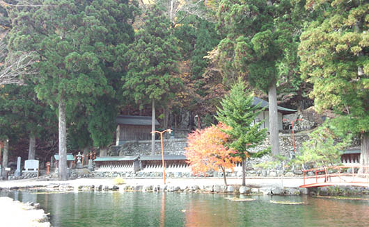 ikenohotori.jpg