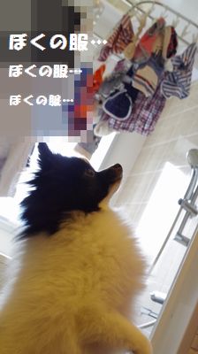 20151102_1.jpg