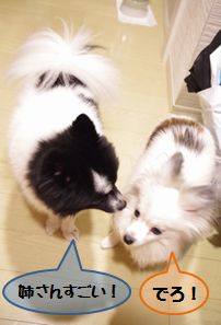 20151124_2.jpg