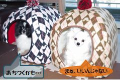 20160107_2.jpg