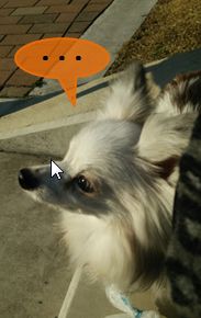 20160109_3.jpg