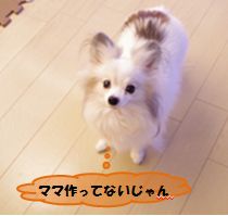 20160217_1.jpg