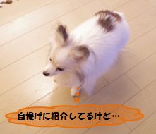 20160217_2.jpg