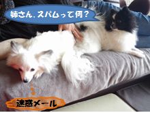 20160217_5.jpg