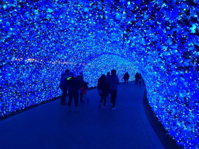 太田一人　なばなの里　2016