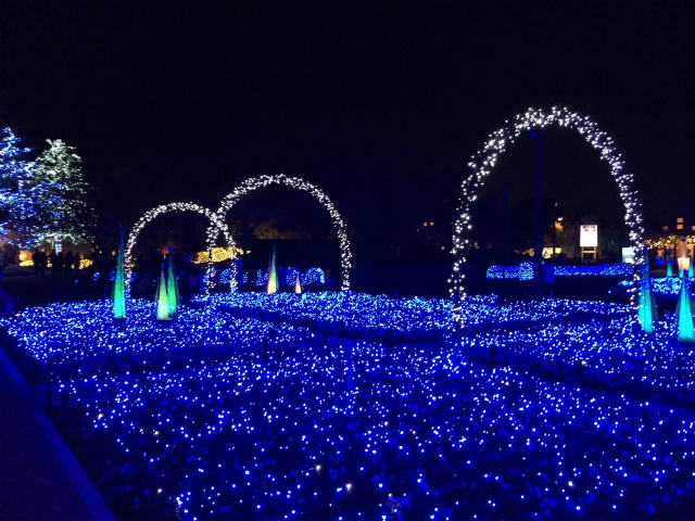 太田一人　なばなの里　2016