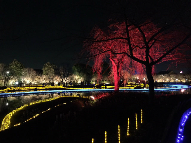 太田一人　なばなの里　2016