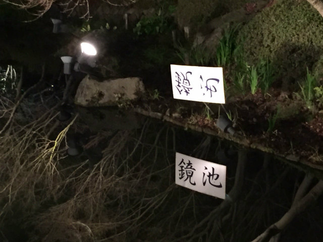 太田一人　なばなの里　2016