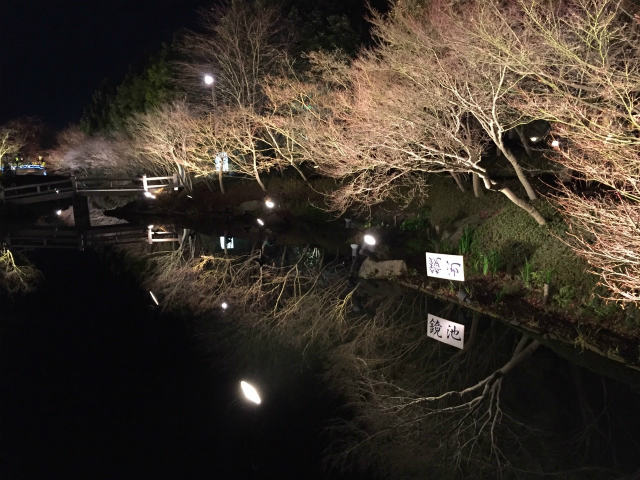 太田一人　なばなの里　2016