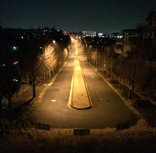 行き止まりの道