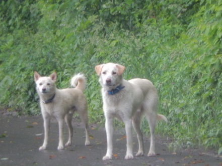 DSCN2210.jpg