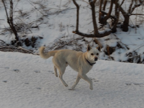 DSCN3355.jpg