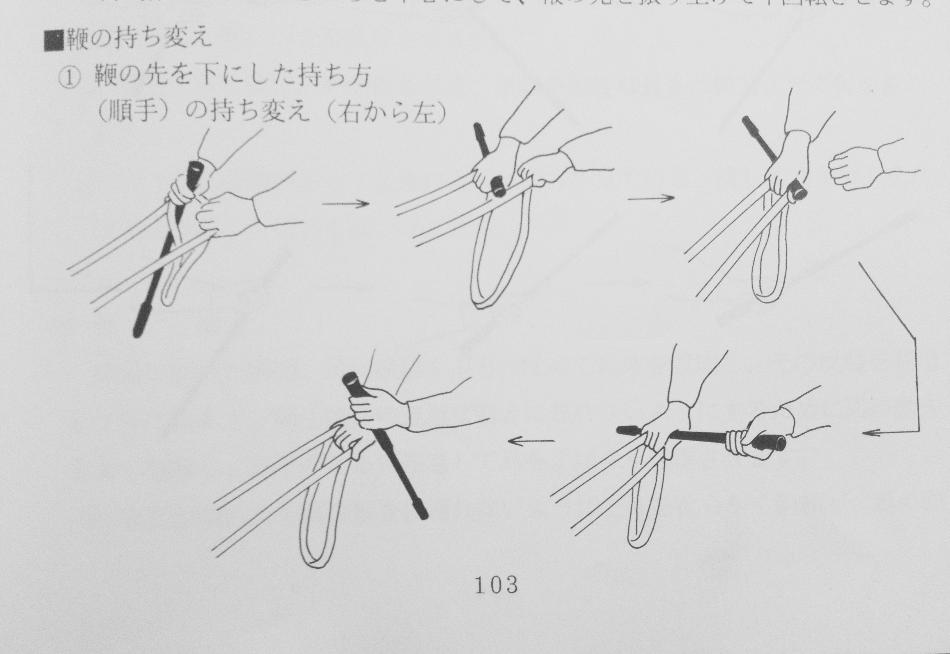 鞭さばき と 二重振り子 の原理 馬術稽古研究会