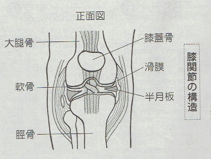 ひざ
