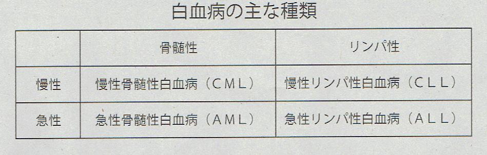 白血病