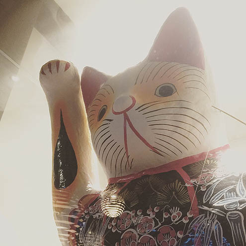 シャット―ブリアン@紅花