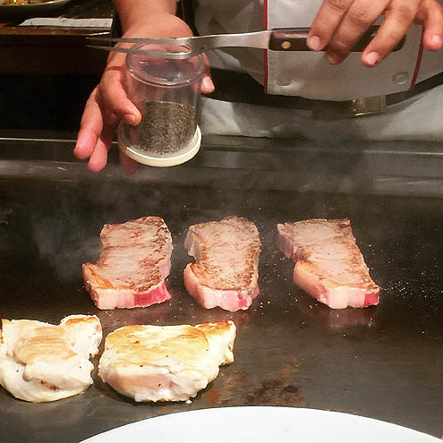 シャット―ブリアン@紅花