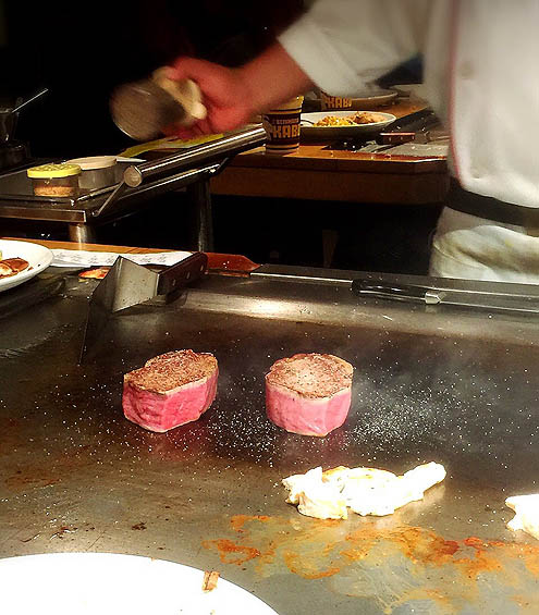 シャット―ブリアン@紅花