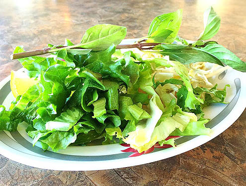 豚の血の塊を喰らえ