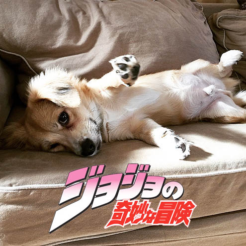 家しょんおまけにヘタレ