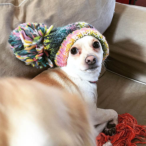 家しょんおまけにヘタレ