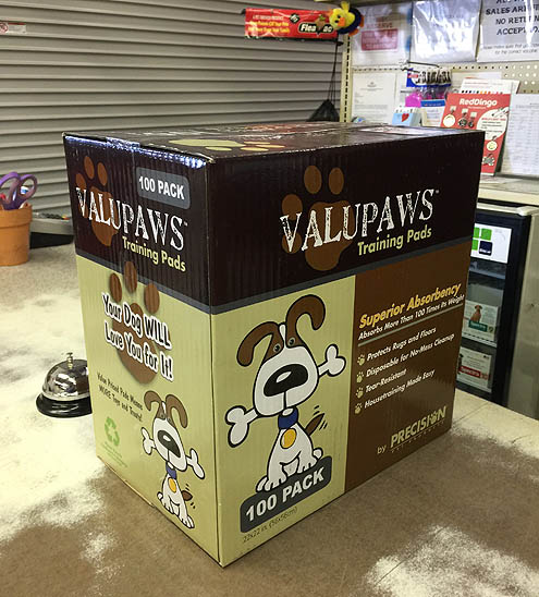 家しょんおまけにヘタレ