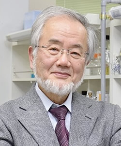 150326_ohsumi_w250.jpg