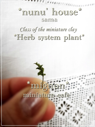 nunu houseさまHerb system plant　Class of the miniature clayⅠ　　